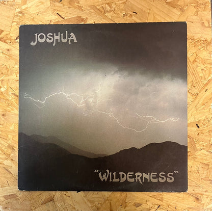 Joshua – Wilderness