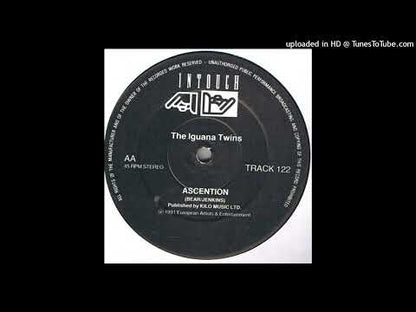 The Iguana Twins ‎– Ascention